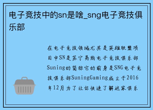 电子竞技中的sn是啥_sng电子竞技俱乐部